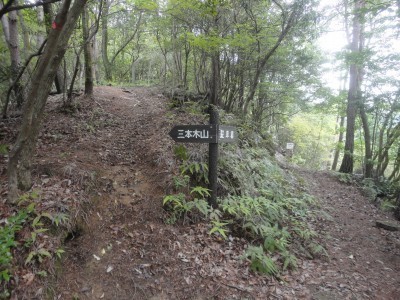 200620_a5.jpg