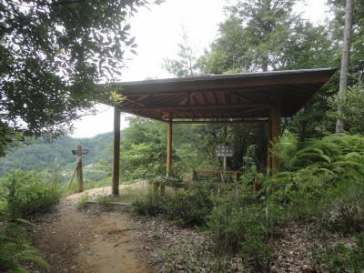 200620_b3.jpg