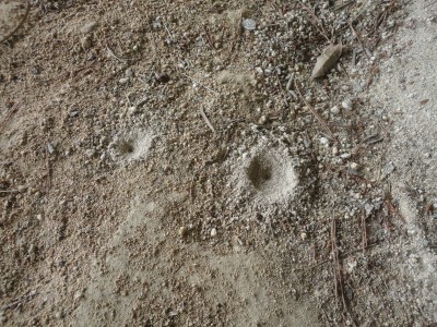 200620_t1.jpg